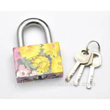 Nouvelle arrivée fleur peinte Galvanoplastie Petite jolie carré d&#39;une clé à clés sérigraphie Fermeture à fer